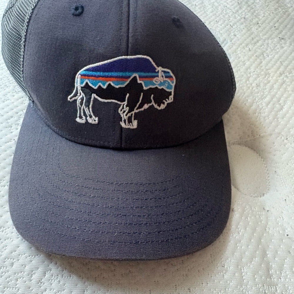 Patagonia Gray and Blue Trucker Hat